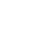 chrome-icon